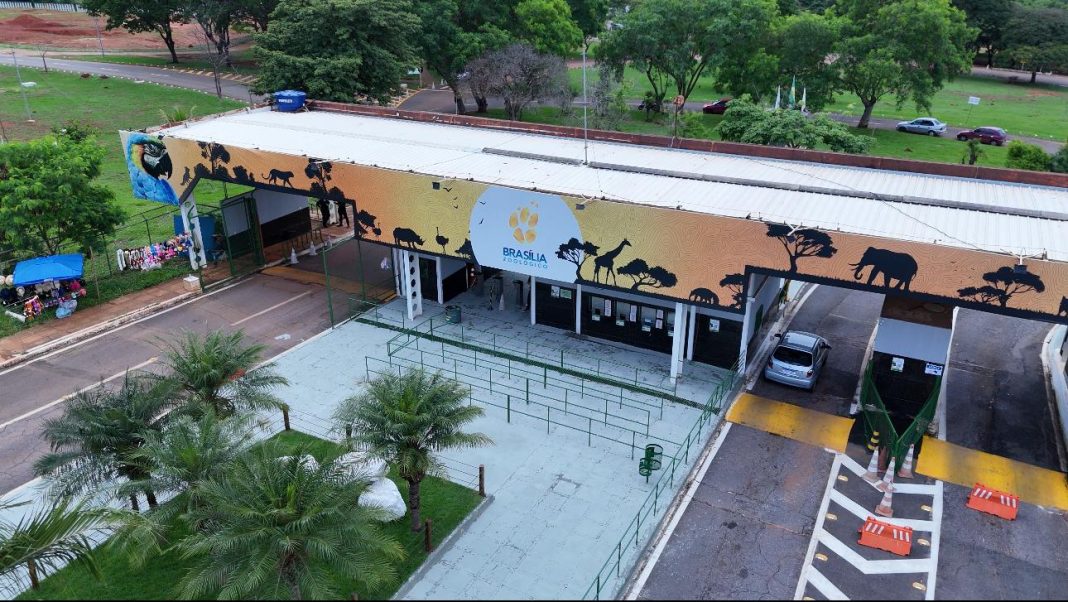 WhatsApp Image 2024-12-06 at 15.18.02